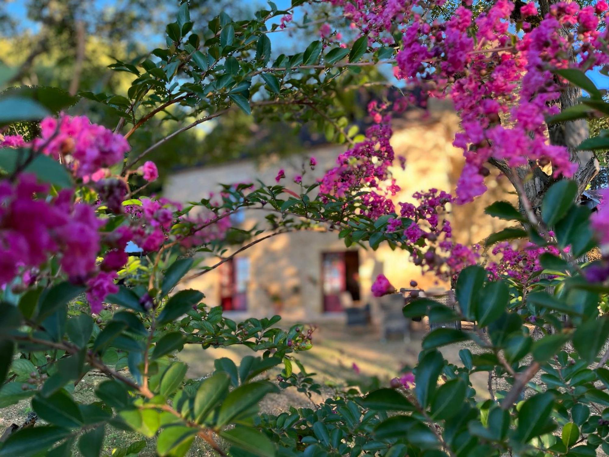 Roquebrune Saint-Alvère Exteriör bild